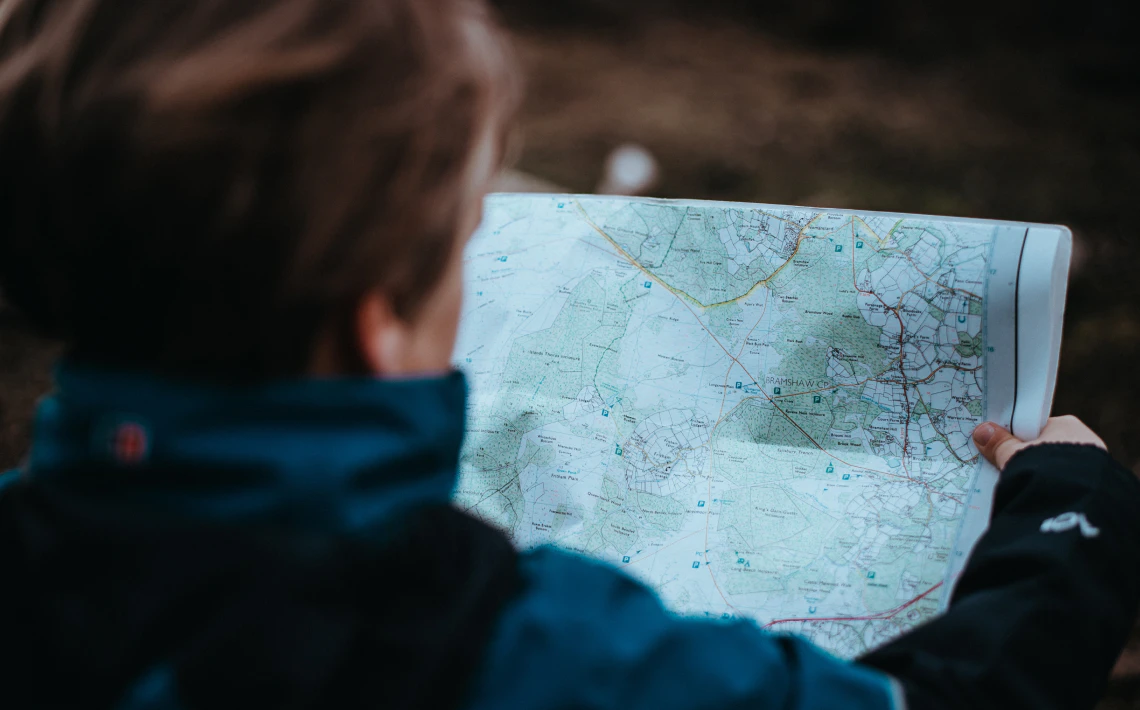 map printed using the MapTier QGIS plugin